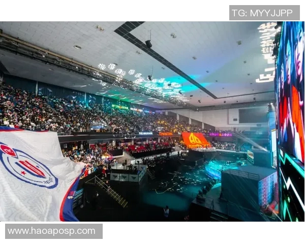 黄磊畅谈英雄联盟成功秘诀与个人成长之路实时数据